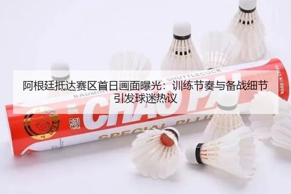 阿根廷抵达赛区首日画面曝光：训练节奏与备战细节引发球迷热议